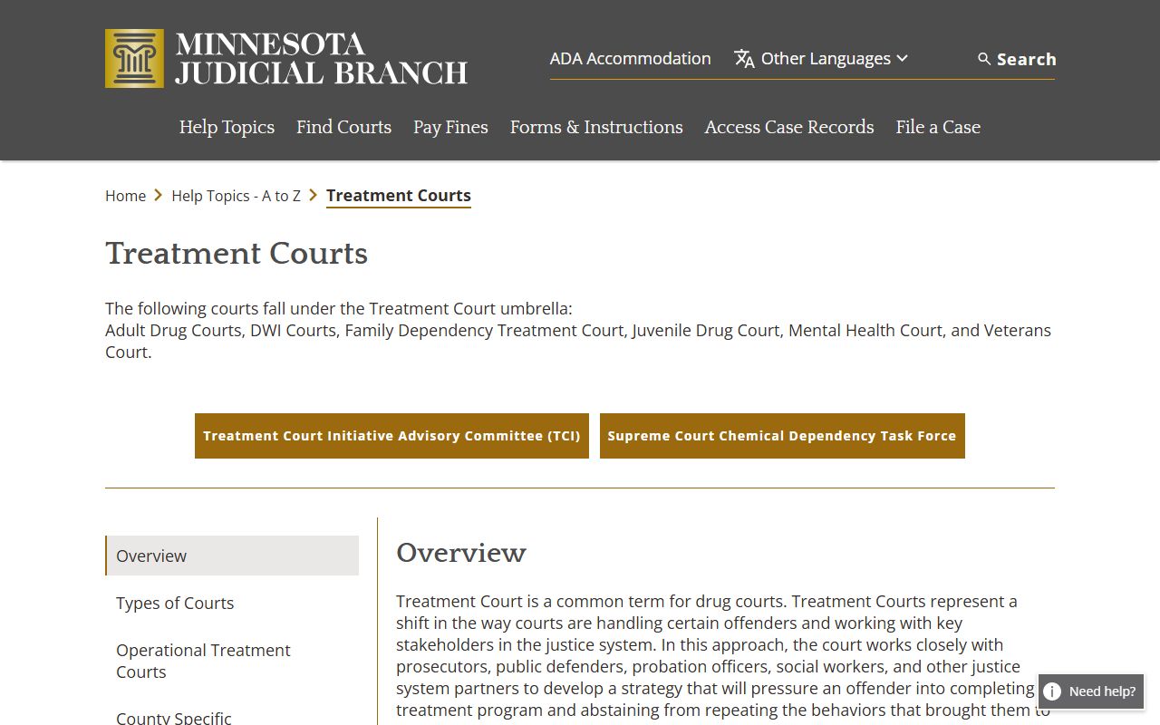 Dakota County treatment court records and hearings
